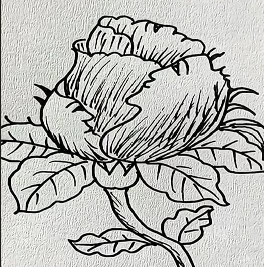 Only people with an lQ of 150 can find 5 faces in 17 seconds.