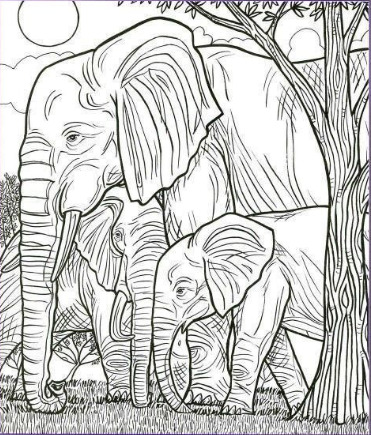 Find the toothbrush, heart, comb, and bell.