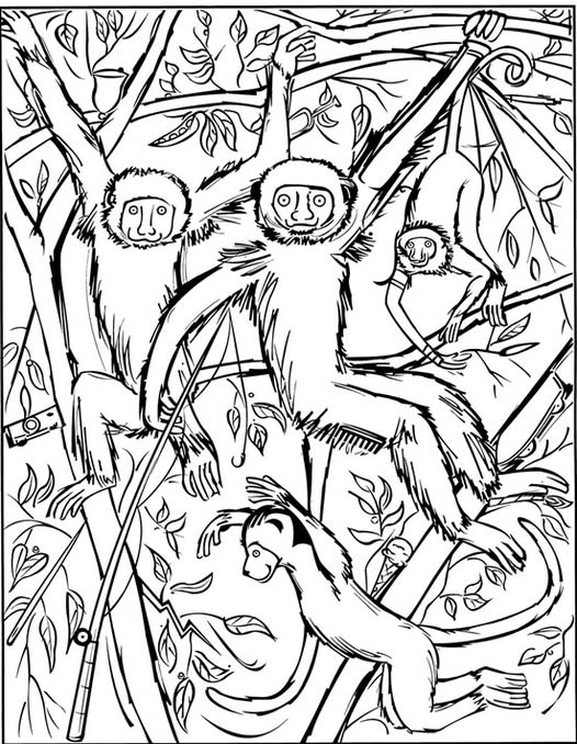 Find Sewing Needle, Comb, and Birthday Candle.