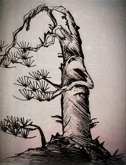 A Hidden Face in Nature’s Illusion: How many faces in the picture?