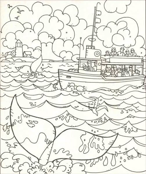 Sat all day still can not find the rabbit.